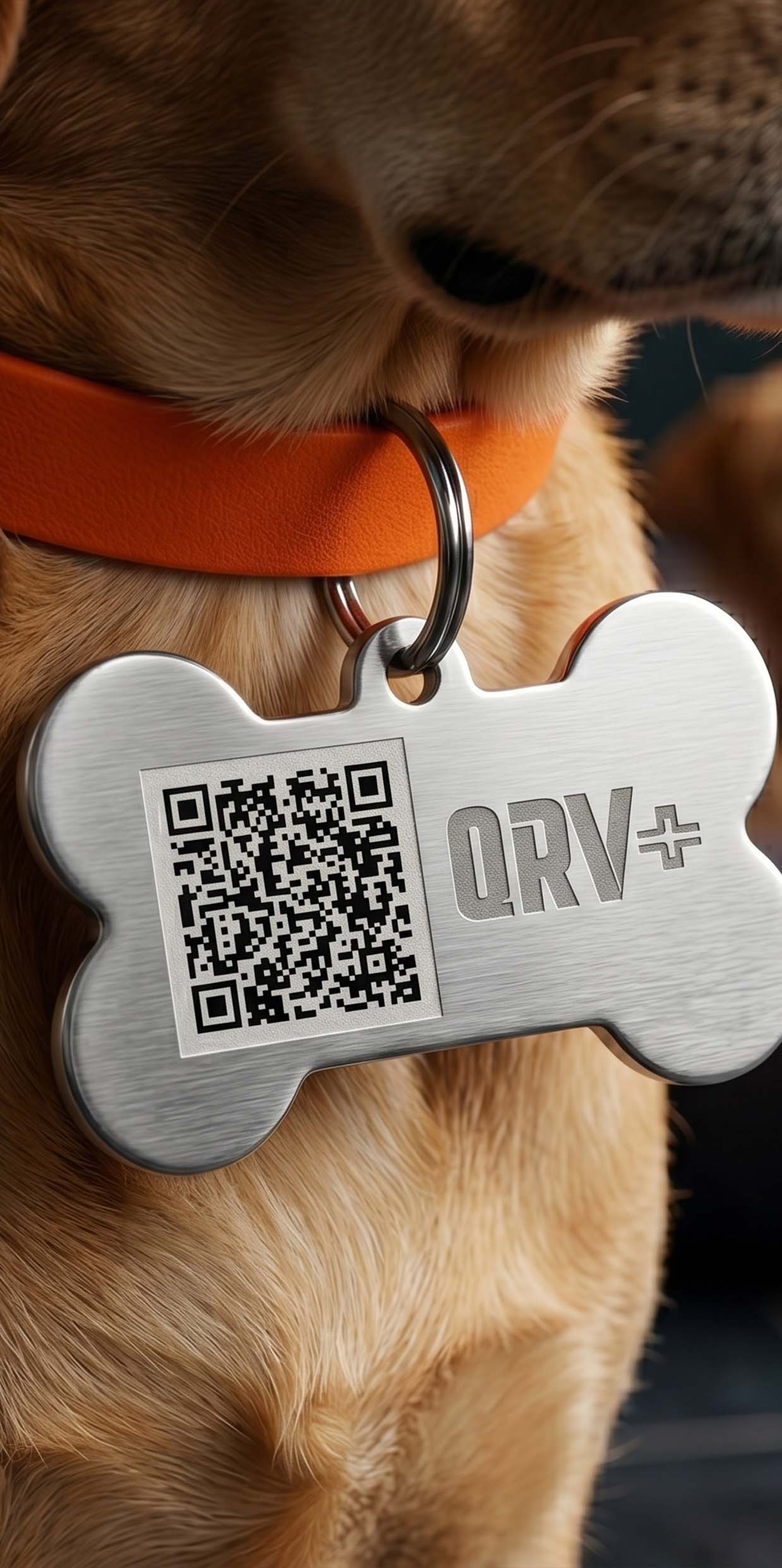 Collar QRV+ para mascotas